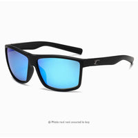 2379C-Black Frame Blue Film